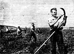 250px-Senokos v Moldavii.jpg