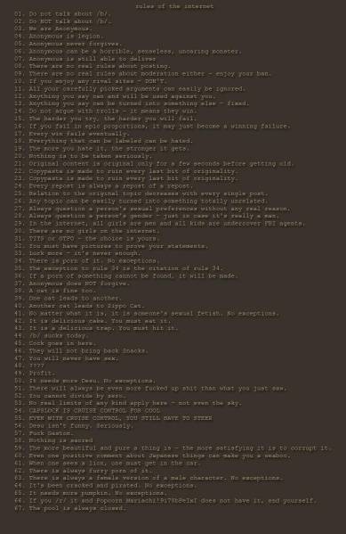 Файл:Rules Of The Internets1.jpg