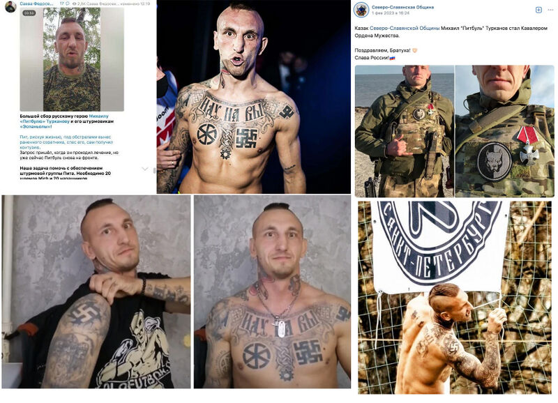 Файл:Pitbull turkanov.jpg