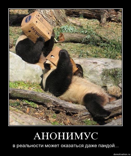 Файл:AnonD4.jpg
