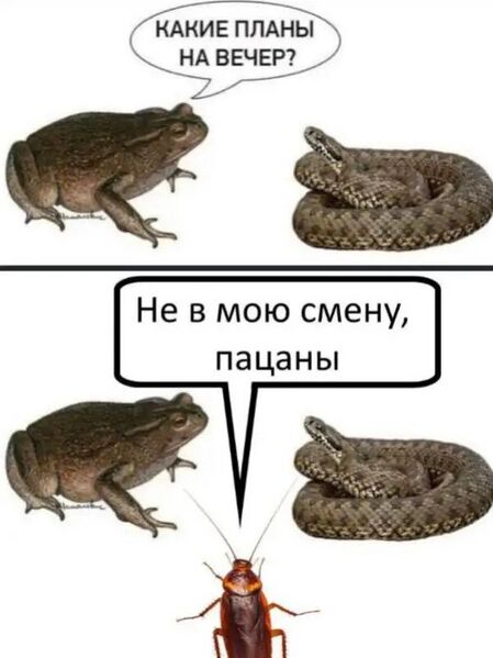 Файл:Wagner meme 33.jpg
