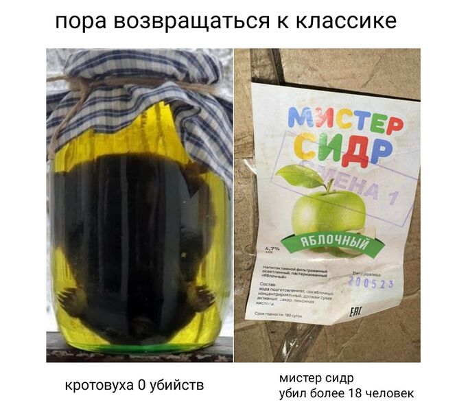 Файл:1686032623125763609.jpg