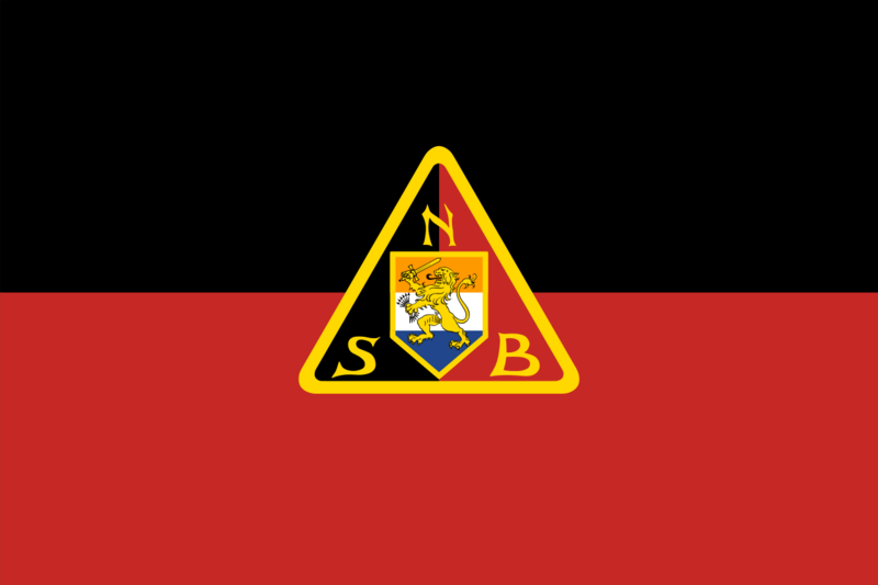 Файл:Flag of National Socialist Movement.svg.png
