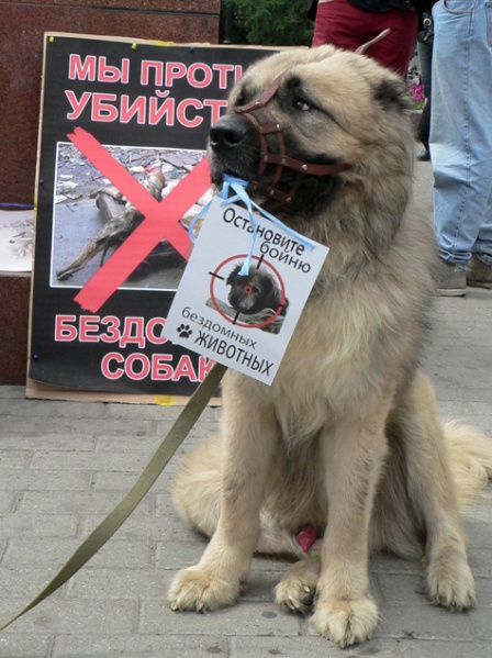 Файл:Dh2.jpg