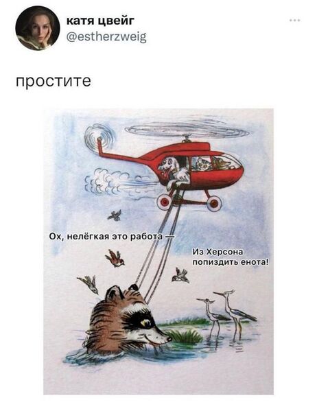Файл:Photo 2022-11-13 14-37-53 (3).jpg