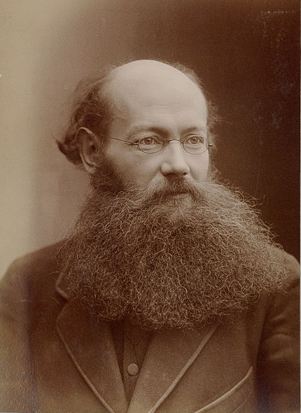 Файл:Кропоткин, Петр Александрович (1842-1921; примерно 1876).jpg